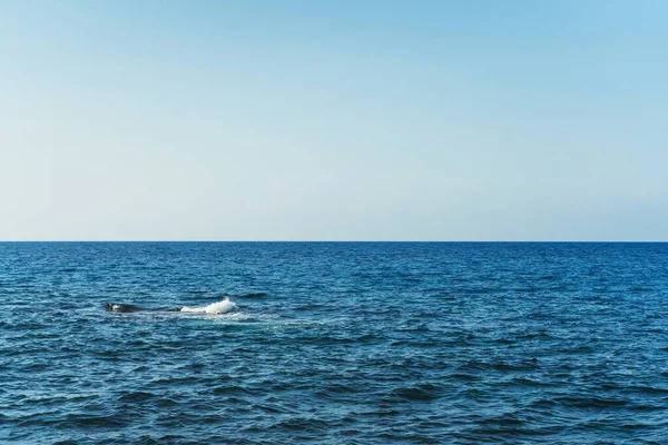 Синее Море Кипра Темно Синий Средиземноморский Морской Пейзаж — стоковое фото