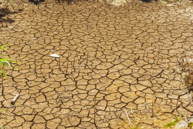 Kıbrıs adasında kuraklık. Su yokluğundan toprağı çatlatmış. Adadaki nehirde kurumuş toprak