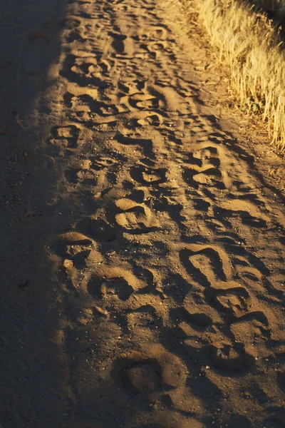 Footprints Horses Cappadocia Horse Trail Tourists Cappadocia Footprints Horseshoes Sand — Foto Stock