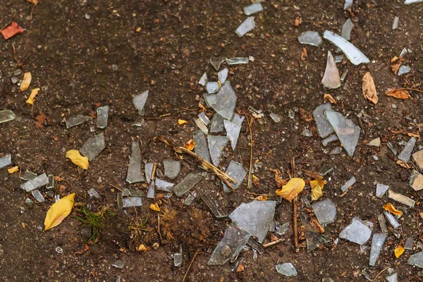 Shards Glass Clay Ground Small Pieces Broken Windows Texture Pieces — Stockfoto