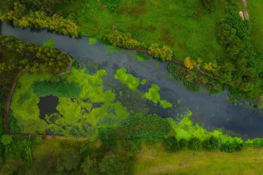 river flowing into the Black Sea. river mouth feeding the Georgian Black Sea