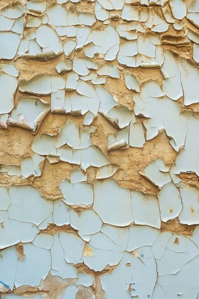 the texture of peeling paint in the house due to dampness. fallen off pieces of paint in a house without a roof