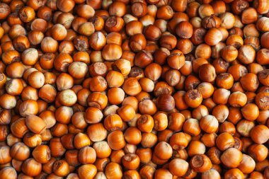 texture of hazelnuts on the counter. fresh nuts in Georgian market