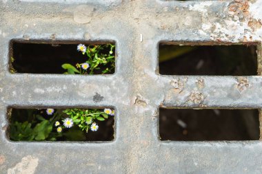 storm system in the floor in tbilisi. water drainage holes on the floor. flood protection in a Georgian city