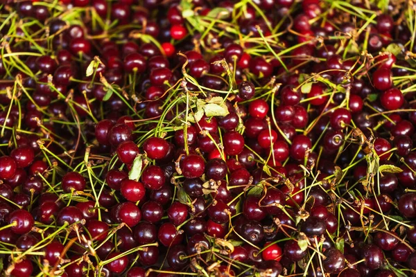 texture of cherry fruits on the counter. fresh cherries in Georgian market