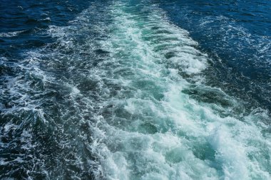 Türk martıları turistlerle dolu bir teknenin arkasında uçuyor. Aç kuşlar gemideki insanlardan yiyecek isterler. Mavi arkaplanda beyaz büyük martılar