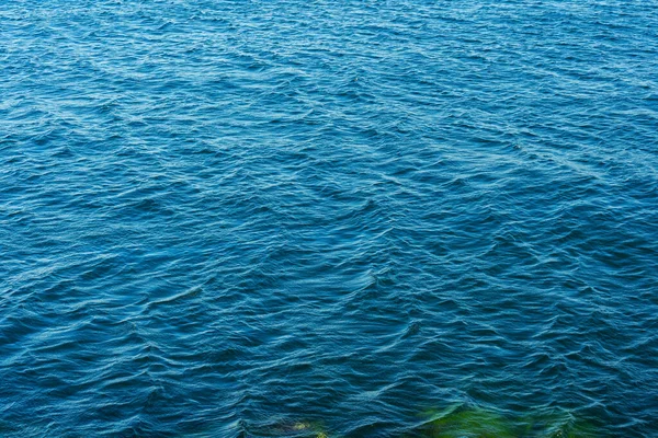 Eau Bleu Foncé Dans Mer Marbre Beaucoup Algues Dans Mer — Photo