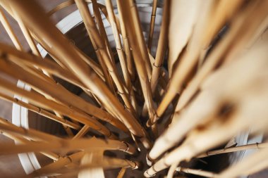 Ahşap bir zeminde, beyaz bir saksıda kurumuş çiçekler. Fotoğraf stüdyosundaki kurutulmuş nehir sazlıkları. Kurumuş bitki saplarının dokusu