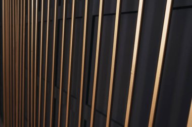 Fotoğraf bölgesinde altın demir ızgara var. Siyah bir duvarın önünde kare bir kafes var. Portre çekimi için hazır fotoğraf bölgesi