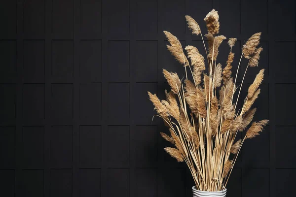 黒い壁に白い花器の中のドライフラワー フォトスタジオのフォトゾーンに川の葦を乾燥 乾燥した植物の茎の質感を写真スタジオで — ストック写真