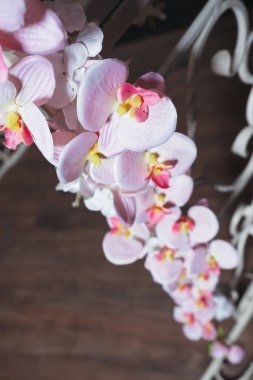 Fotoğraf bölgesinde suni çiçekli beyaz metal kemer. Siyah bir arka planda, düğün fotoğrafında beyaz çiçekler. Yapay çiçekli bir düğün fotoğrafı çekimi için hazır fotoğraf bölgesi.