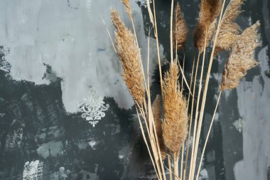 Duvarında sarı kuru çiçekler olan saksı. Kurumuş çiçekli fotoğraf bölgesi minimalizm tarzında. Kuru kamış çiçekleriyle macun duvarının dokusu