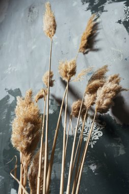 Duvarında sarı kuru çiçekler olan saksı. Kurumuş çiçekli fotoğraf bölgesi minimalizm tarzında. Kuru kamış çiçekleriyle macun duvarının dokusu