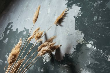 Duvarında sarı kuru çiçekler olan saksı. Kurumuş çiçekli fotoğraf bölgesi minimalizm tarzında. Kuru kamış çiçekleriyle macun duvarının dokusu