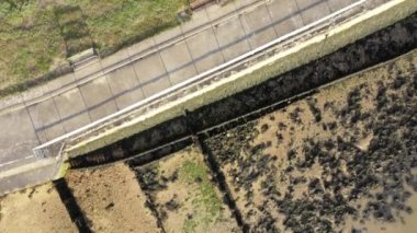 Günbatımında Brightlingsea deniz feneri kulesi, büyüleyici hafif deniz kıyısında özel bir gün, Essex, İngiltere, İngiltere