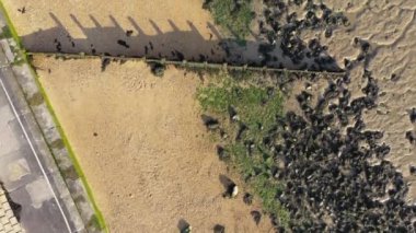 Günbatımında Brightlingsea deniz feneri kulesi, büyüleyici hafif deniz kıyısında özel bir gün, Essex, İngiltere, İngiltere