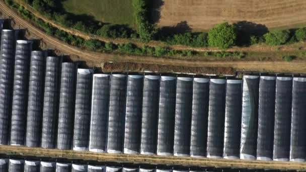 Top Aerial View Green Yellow Wheat Field Farm Greenhouses Golden — Video