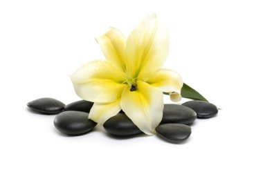 Spa natürmort
