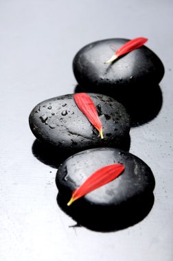 Zen natürmort