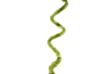 Bambu kaynaklanıyor