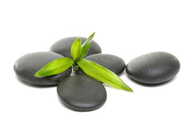 Zen taşlar ve bambu