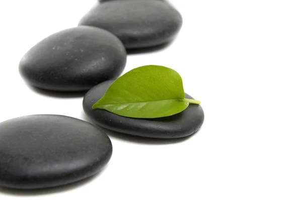 Leaf and stones — Stock Photo, Image