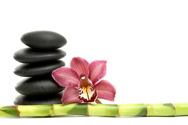 Spa background — Stock Photo, Image