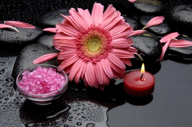 spa konsept
