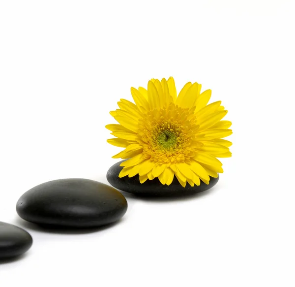 Zen still life — Stock Photo, Image