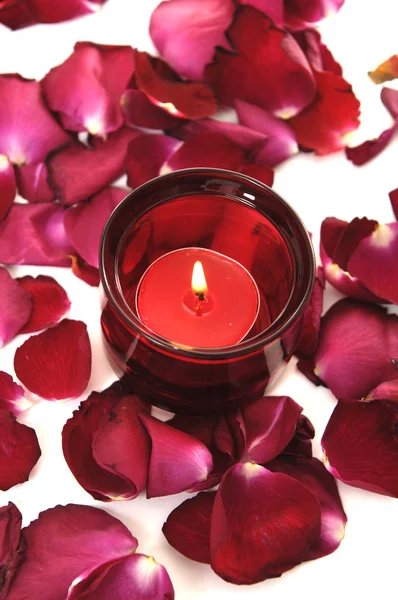 Rose petals — Stock Photo, Image