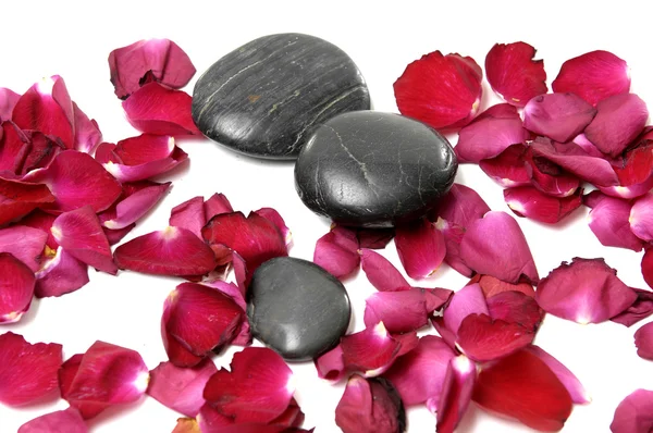 Stones and petals — Stock Photo, Image