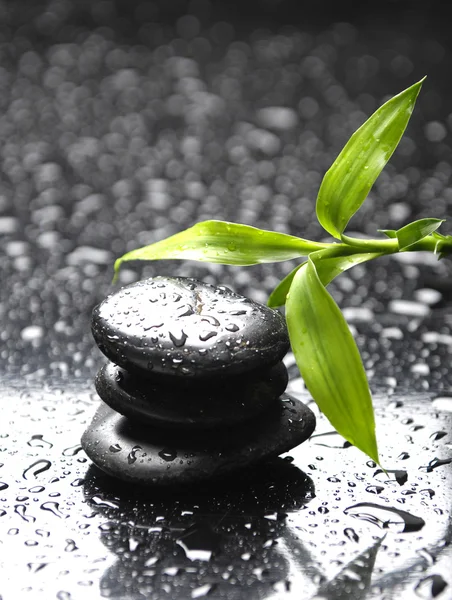 Zen still life — Stock Photo, Image