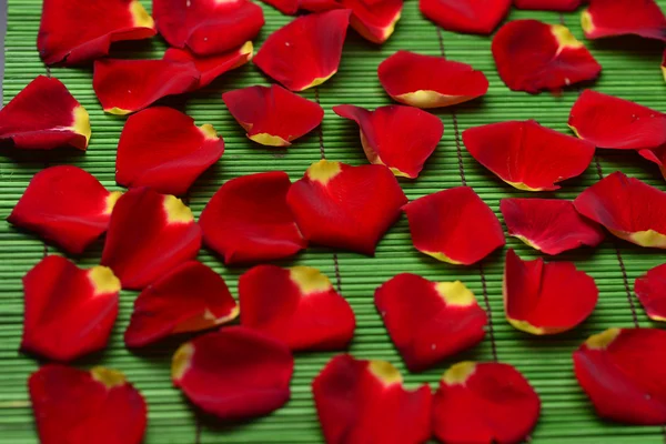 Rose petals on green mat — Stock Photo, Image