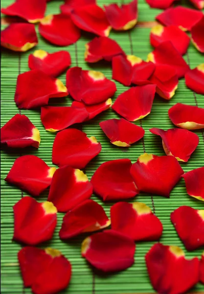 Pile of red rose petals — Stock Photo, Image