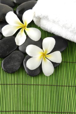 Frangipani çiçek ve taşlar