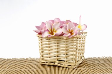 Frangipani mat bir hasır sepet içinde