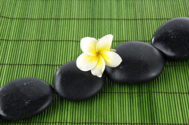 güzel frangipani ve zen taşlar