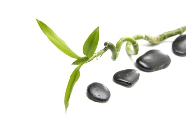 Zen çakıl ve şanslı bambu