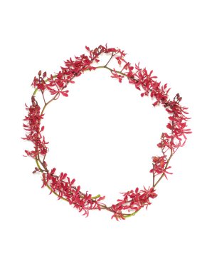 Orkide çiçek çerçeve