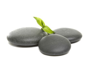 Zen taşlar ve taze yaprak