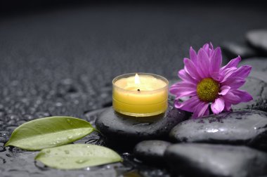 spa konsept