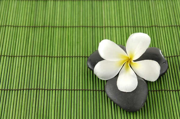 Frangipani flower on mat — Stock Photo, Image