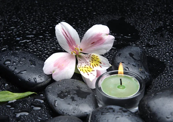 Orchid and candles and stones — Stock Photo, Image