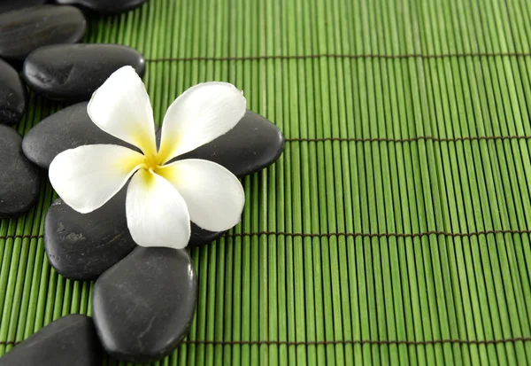 Hermosos frangipani y piedras zen — Foto de Stock