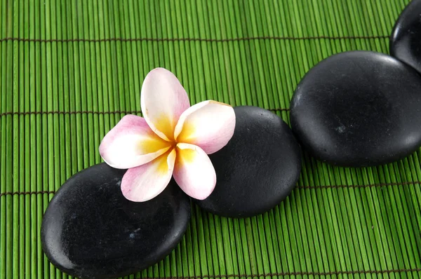 Hermosos frangipani y piedras zen — Foto de Stock