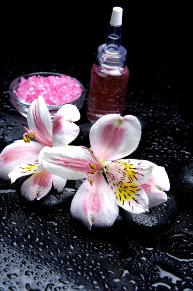 Spa still life — Stock Photo, Image