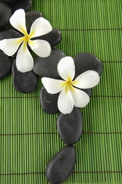 Frangipani flower on mat — Stock Photo, Image