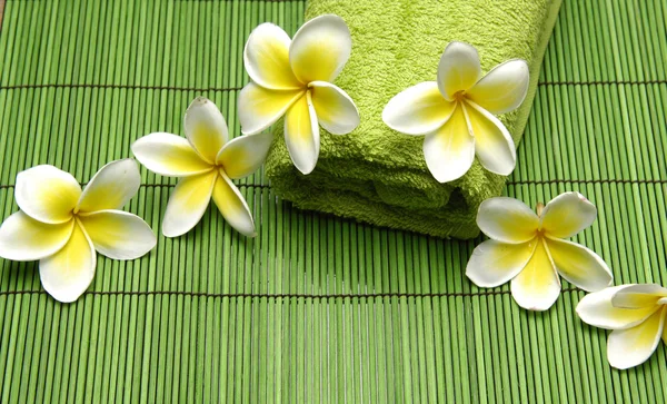 Flor de frangipani no tapete — Fotografia de Stock