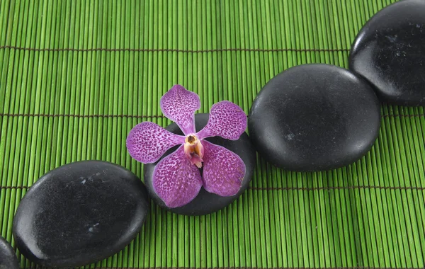Розовая орхидея и камень дзен — стоковое фото