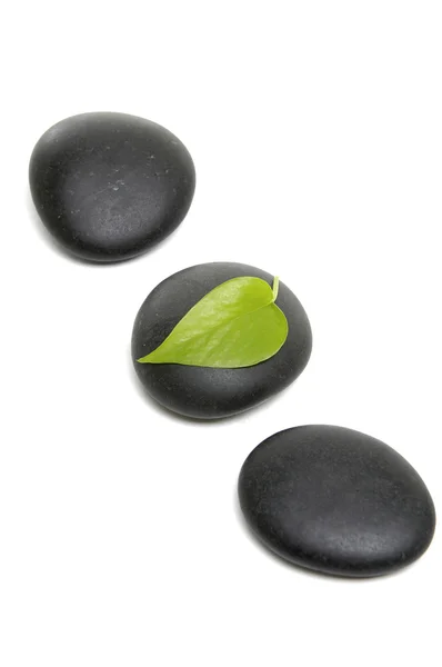 Piedras Zen y hoja fresca — Foto de Stock